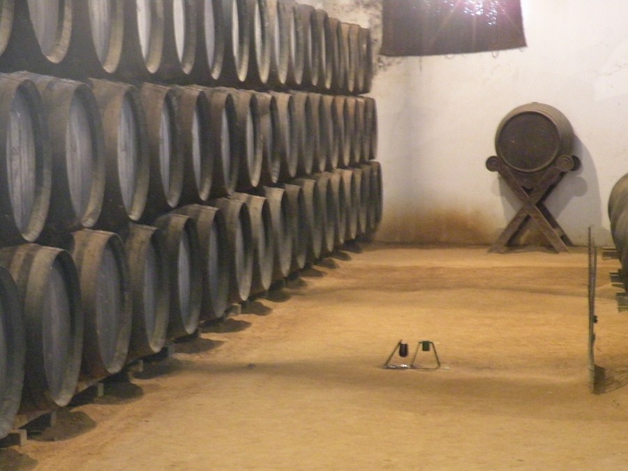 Bodegas Tío Pepe
